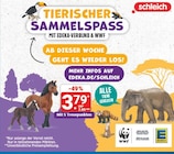 Tierfiguren Angebot in Bernsdorf Tierfiguren im aktuellen Prospekt bei diska in Bernsdorf