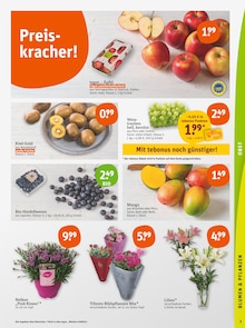 Weintrauben im tegut Prospekt "tegut… gute Lebensmittel" mit 23 Seiten (Stuttgart)