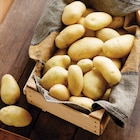 Intermarché Super Toulouse - Promo Pomme de terre nouvelle récolte Promo Pomme de terre nouvelle récolte à 1,99 € dans le catalogue Intermarché Super à Toulouse