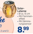 Solar-Laterne Angebot im Rossmann Prospekt für 8,99 €
