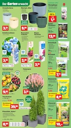 Thomas Philipps Kirschen im Prospekt 