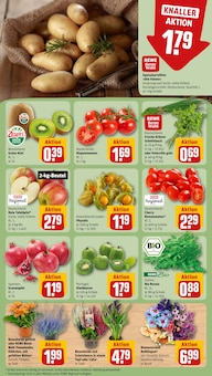 Salat im REWE Prospekt "Dein Markt" mit 20 Seiten (Mannheim)