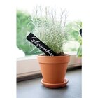 Vase brut rouge en terre cuite D.19 x H17,3 - DEROMA - Botanic à Levallois-Perret Vase brut rouge en terre cuite D.19 x H17,3 - DEROMA en promo chez Botanic Levallois-Perret à 1,99 €