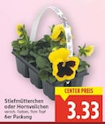 Stiefmütterchen oder Hornveilchen im aktuellen E center Prospekt