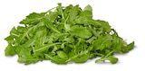 Penny - Rucola Angebot im Prospekt Rucola bei Penny im Prospekt "" für 0,75 €