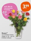 Rosen von  im aktuellen tegut Prospekt für 3,99 €