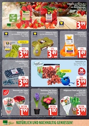 EDEKA Weintrauben im Prospekt 