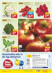 Blumenkohl im Netto Marken-Discount Prospekt in Dresden Aktueller Netto Marken-Discount Prospekt mit Blumenkohl, "Aktuelle Angebote", Seite 13