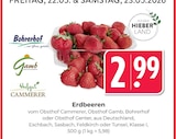 Erdbeeren Angebote bei Hieber Freiburg für 2,99 €