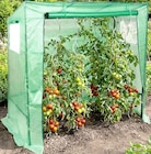Tomatengewächshaus Angebote bei Thomas Philipps Rostock für 1,29 €