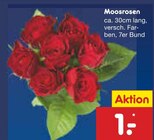 Aktuelle Pflanzen Angebote bei Netto Marken-Discount in Dortmund Aktuelles Moosrosen Angebot bei Netto Marken-Discount in Dortmund ab 1,00 €