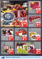 Ähnliche Angebote wie Weihnachtsstern im Prospekt "Top Angebote" auf Seite 6 von EDEKA in Norderstedt