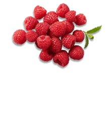 portugiesische/amerikanische Himbeeren bei Kaufland in Cottbus portugiesische/amerikanische Himbeeren im Angebot bei Kaufland Cottbus für 1,49 €