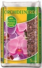 Orchideenerde im aktuellen Thomas Philipps Prospekt