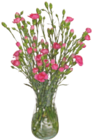 Aktuelle Blumen Angebote bei tegut in Göttingen Aktuelles Spraynelken Angebot bei tegut in Göttingen ab 4,99 €