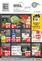 EDEKA Prospekt für Meckenheim: "Aktuelle Angebote", 24 Seiten, 11.05.2026 - 16.05.2026