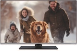 LED TV bei expert im Herne Prospekt für 319,00 €