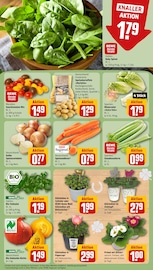 Aktueller REWE Prospekt mit Garten, "Dein Markt", Seite 7