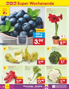 Pflanzen im Netto Marken-Discount Prospekt "Aktuelle Angebote" mit 56 Seiten (Freiburg (Breisgau))