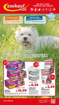 Hundefutter im Zookauf Prospekt "Tierische Angebote für ECHTE FRÜHLINGSGEFÜHLE" mit 12 Seiten (Bottrop)