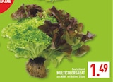 Angebot im Marktkauf Köln Prospekt Marktkauf Köln Prospekt mit im Angebot für 1,49 €