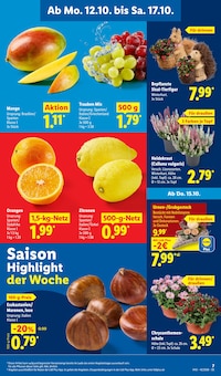 Blumen im Lidl Prospekt "LIDL LOHNT SICH" mit 73 Seiten (Jena)