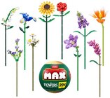 MAX Bausteine-Set Blumenkollektion Angebote von Zuru bei Penny Gelsenkirchen für 19,99 €