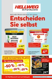 Aktueller Hellweg Prospekt "Entscheiden Sie selbst" mit 22 Seiten