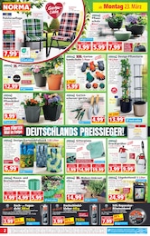 Steine Angebot & Preis im aktuellen Norma Prospekt Steine Angebot im aktuellen Norma Prospekt auf Seite 2