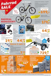 Aktueller Globus-Baumarkt Prospekt mit Mountainbike, "Immer eine Idee besser", Seite 19