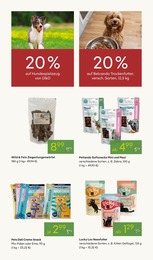 Pflanzen Kölle Hundefutter im Prospekt 