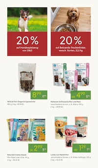 Katzenfutter im Pflanzen Kölle Prospekt "BLÜTENZAUBER FÜR ZUHAUSE" mit 14 Seiten (Nürnberg)