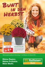 ZG Raiffeisen Prospekt "Bunt in den Herbst ", 12 Seiten, für Stockach, 17.10.2019 - 23.10.2019 ZG Raiffeisen Prospekt "Bunt in den Herbst ", 12 Seiten, für Stockach, 17.10.2019 - 23.10.2019
