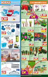 Fleurs Angebote im Prospekt "Votre Discounter Régional" von Norma auf Seite 4