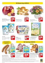 Aktueller EDEKA Prospekt mit Pfifferlinge, "Aktuelle Angebote", Seite 12