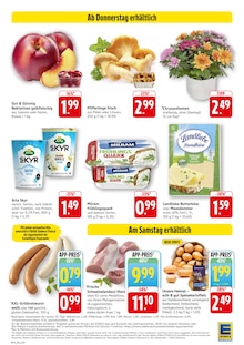 Blumen im EDEKA Prospekt "Aktuelle Angebote" mit 12 Seiten (Heidelberg)
