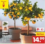 Netto Marken-Discount Rommersheim Prospekt mit  im Angebot für 14,99 €