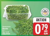 Rucola im aktuellen EDEKA Prospekt