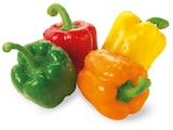Paprika im Angebot bei REWE in München Paprika Angebote bei REWE München für 3,79 €