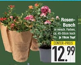 Rosen-Busch im EDEKA Prospekt Rosen-Busch von im aktuellen EDEKA Prospekt für 12,99 €