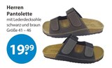 Herren Pantolette im Angebot bei V-Markt in Regensburg Herren Pantolette Angebote bei V-Markt Regensburg für 19,99 €