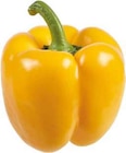 Aktuelles Paprika „rot“ Angebot bei EDEKA in Recklinghausen ab 1,49 €