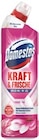 Kaufland Biberach - WC-Gel Kraft & Frische Ocean Fresh Angebot im Prospekt WC-Gel Kraft & Frische Ocean Fresh bei Kaufland im Biberach Prospekt für 1,59 €