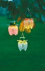 Solar-Blume im Netto mit dem Scottie Prospekt Solar-Blume von GARDEN DREAM im aktuellen Netto mit dem Scottie Prospekt für 7,99 €