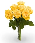Großköpfige Hochland Rosen im Netto Marken-Discount Prospekt Großköpfige Hochland Rosen von FAIRTRADE im aktuellen Netto Marken-Discount Prospekt für 4,44 €