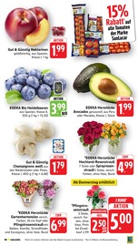Aktueller E center Prospekt mit Blumen, "Aktuelle Angebote", Seite 6