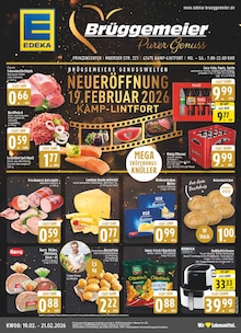 Cola im aktuellen E center Prospekt (Kamp-Lintfort) Cola im E center Prospekt "Aktuelle Angebote" mit 14 Seiten (Kamp-Lintfort)