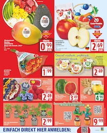 EDEKA Obst im Prospekt EDEKA Obst im Prospekt