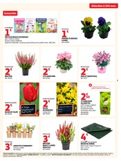Promos Barbecue dans le catalogue "LA RENTRÉE À PRIX K.O." de Auchan Hypermarché Barbecue en promo dans le catalogue Auchan Hypermarché à la page 3