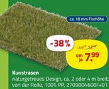Kunstrasen Angebote bei ROLLER Heidenheim für 7,99 €